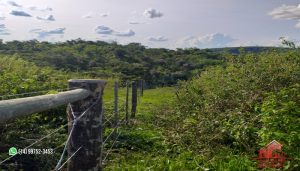 Fazenda à Venda, 74 Alq SPem ZONA RURAL - Garça