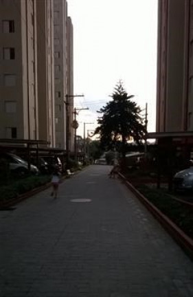 Imagem Apartamento com 3 Quartos à Venda, 67 m² em Moinho Velho - São Paulo