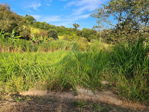 Imagem Chácara com 2 Quartos à Venda, 55.000 m² em Piracaia - Piracaia Imagem Chácara com 2 Quartos à Venda, 55.000 m² em Piracaia - Piracaia