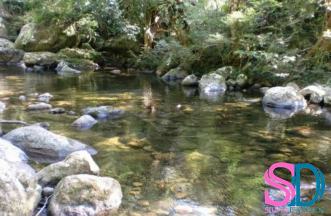 Imagem Casa de Condomínio com 3 Quartos à Venda, 200 m² em Horto Florestal - Ubatuba