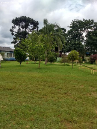 Imagem Imóvel à Venda, 121.000 m² em Ipelândia - Suzano Imagem Imóvel à Venda, 121.000 m² em Ipelândia - Suzano