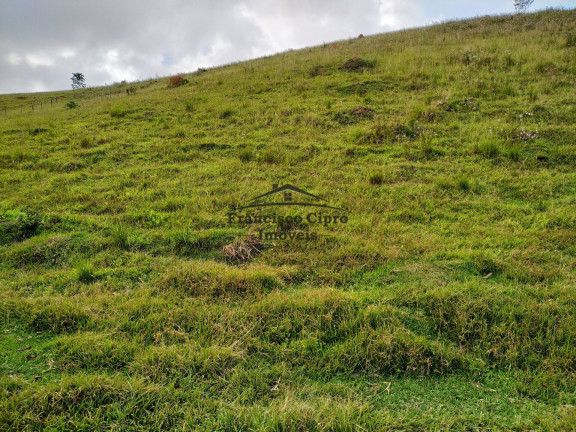 Imagem Terreno à Venda, 19.000 m² em Jardim - Cunha Imagem Terreno à Venda, 19.000 m² em Jardim - Cunha