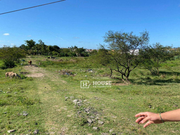 Imagem Terreno à Venda, 10.605 m² em Nossa Senhora Do Socorro - Nossa Senhora Do Socorro