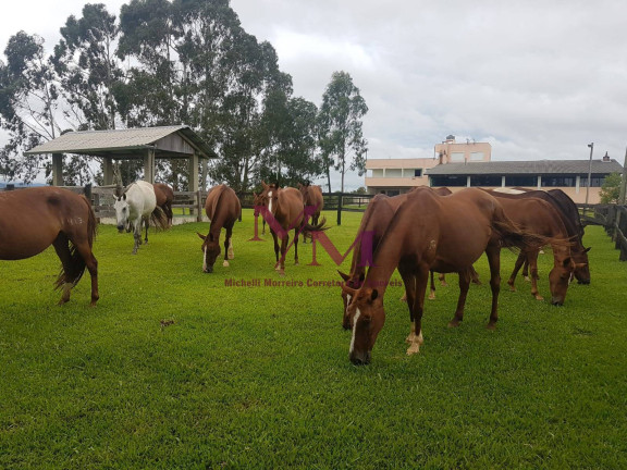 Imagem Chácara à Venda, em Porto Fino - Pontal Do Paraná Imagem Chácara à Venda, em Porto Fino - Pontal Do Paraná