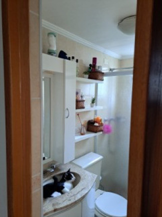 Imagem Apartamento com 2 Quartos para Alugar, 49 m² em Jardim Celeste - São Paulo Imagem Apartamento com 2 Quartos para Alugar, 49 m² em Jardim Celeste - São Paulo