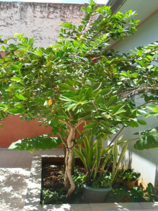 Imagem Casa com 3 Quartos à Venda, 250 m² em Jardim Cidade Nova (nova Veneza) - Sumaré