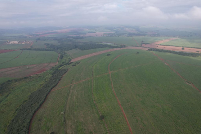 Imagem Fazenda à Venda, 53 m² em Zona Rural - Ipauçu Imagem Fazenda à Venda, 53 m² em Zona Rural - Ipauçu