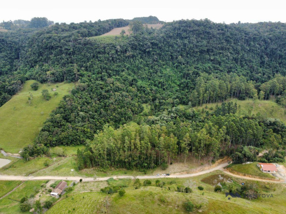 Imagem Fazenda à Venda, 87.500 m² em Centro - Witmarsum