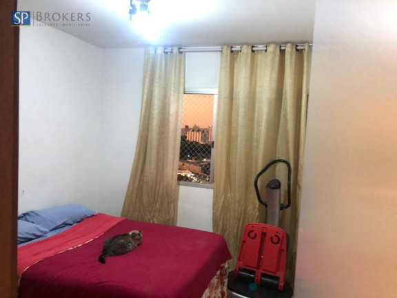 Imagem Apartamento com 2 Quartos à Venda, 77 m² em Ponte Preta - Campinas Imagem Apartamento com 2 Quartos à Venda, 77 m² em Ponte Preta - Campinas