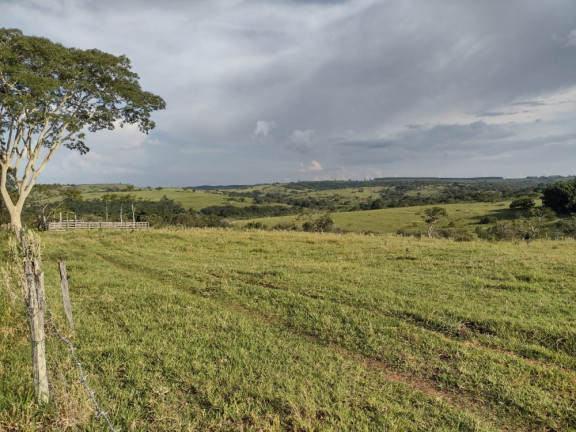 Imagem Imóvel à Venda, 10 m² em área Rural De Avaí - Avaí Imagem Imóvel à Venda, 10 m² em área Rural De Avaí - Avaí
