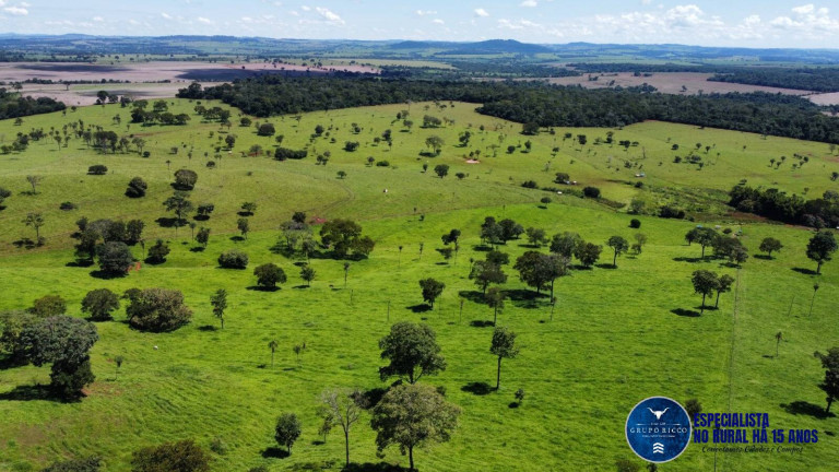 Fazenda à Venda, 26 m² em Zona Rural - Santa Bárbara De Goiás