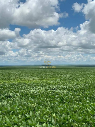 Imagem Imóvel com 3 Quartos à Venda, 16.943 m² em Zona Rural - Primavera Do Leste Imagem Imóvel com 3 Quartos à Venda, 16.943 m² em Zona Rural - Primavera Do Leste