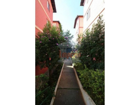 Apartamento com 2 Quartos à Venda, 50 m² em Vila Camilópolis - Santo André