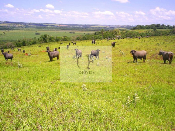 Imagem Fazenda à Venda, 297 m² em Rural - Santana Do Itararé Imagem Fazenda à Venda, 297 m² em Rural - Santana Do Itararé