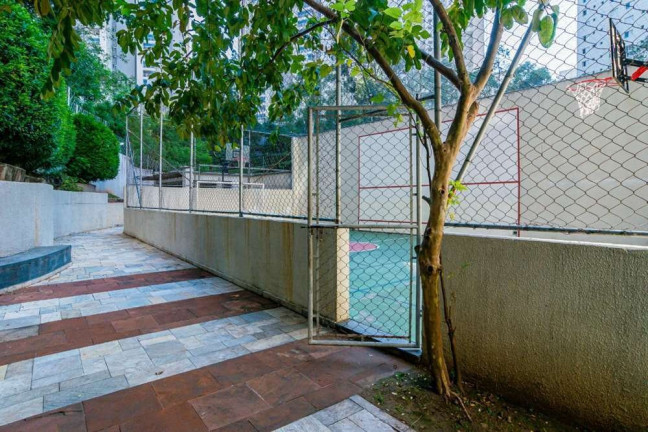 Imagem Apartamento com 3 Quartos à Venda, 61 m² em Vila Andrade - São Paulo