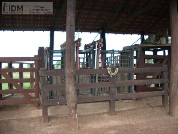 Imagem Chácara à Venda, 830.000.000 m² em Rural - São Félix Do Araguaia Imagem Chácara à Venda, 830.000.000 m² em Rural - São Félix Do Araguaia