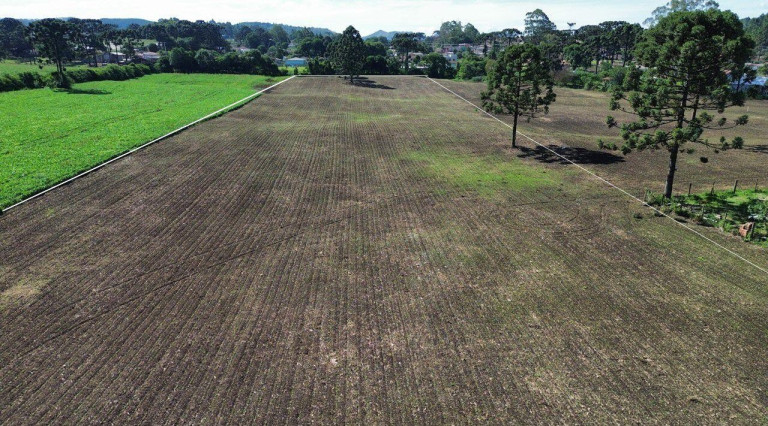 Imagem Fazenda à Venda, 19.400 m² em Tranqueira - Almirante Tamandare Imagem Fazenda à Venda, 19.400 m² em Tranqueira - Almirante Tamandare