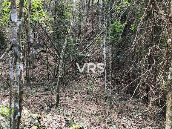 Imagem Terreno à Venda, 5.135 m² em Albuquerque - Teresópolis