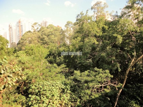 Imagem Apartamento com 2 Quartos à Venda, 73 m² em Panamby - São Paulo Imagem Apartamento com 2 Quartos à Venda, 73 m² em Panamby - São Paulo