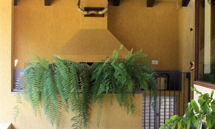 Imagem Casa com 4 Quartos à Venda, 1.000 m² em Vila Santo Antônio - Cotia Imagem Casa com 4 Quartos à Venda, 1.000 m² em Vila Santo Antônio - Cotia