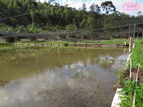 Imagem Imóvel com 5 Quartos à Venda, 150.000 m² em Pindorama - Mogi Das Cruzes