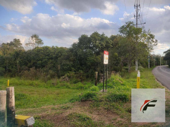 Terreno à Venda, 98.069 m² em Campo De Santana - Curitiba