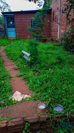 Terreno à Venda, 550 m² em Universitário - Lajeado