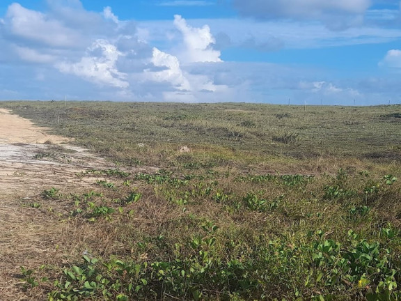 Imagem Terreno à Venda, 2.800 m² em Centro - Entre Rios
