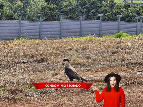Terreno à Venda, 1.000 m² em Curitibanos - Bragança Paulista