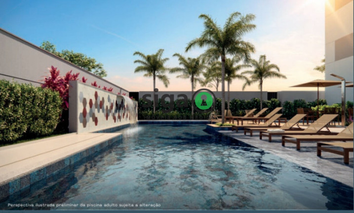 Imagem Apartamento com 3 Quartos à Venda, 79 m² em Granja Julieta - São Paulo Imagem Apartamento com 3 Quartos à Venda, 79 m² em Granja Julieta - São Paulo