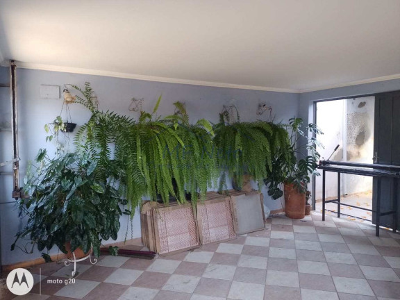 Imagem Casa com 3 Quartos à Venda, 188 m² em Vila Braz - Pirassununga
