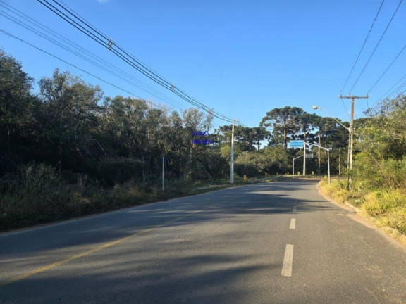 Imagem Terreno à Venda, 3.534 m² em Eucaliptos - Fazenda Rio Grande Imagem Terreno à Venda, 3.534 m² em Eucaliptos - Fazenda Rio Grande