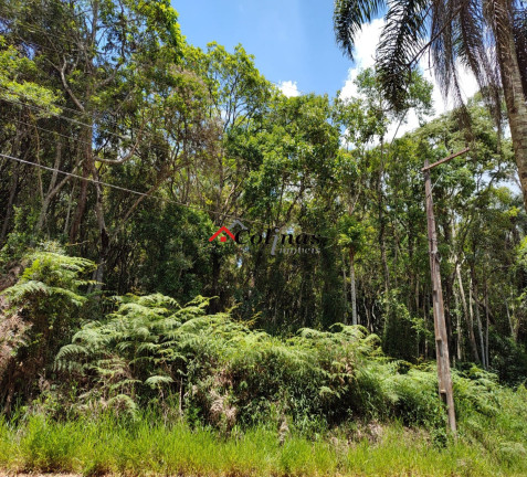 Imagem Terreno à Venda, 2.400 m² em Depois Do Centro - Ibiúna Imagem Terreno à Venda, 2.400 m² em Depois Do Centro - Ibiúna