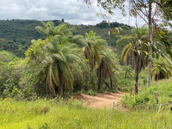 Imagem Imóvel à Venda, 3.629 m² em Quintas Da Serra - Caeté
