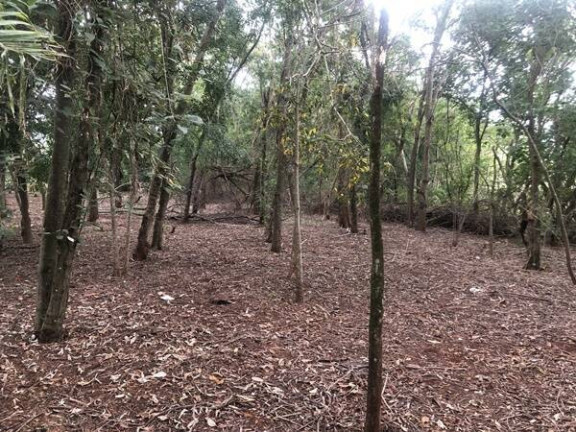 Imagem Chácara com 2 Quartos à Venda, 100 m² em Tucunaré - Alvorada Do Sul Imagem Chácara com 2 Quartos à Venda, 100 m² em Tucunaré - Alvorada Do Sul