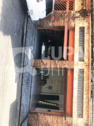 Imagem Casa com 4 Quartos para Alugar, 600 m² em Vila Isolina Mazzei - São Paulo Imagem Casa com 4 Quartos para Alugar, 600 m² em Vila Isolina Mazzei - São Paulo