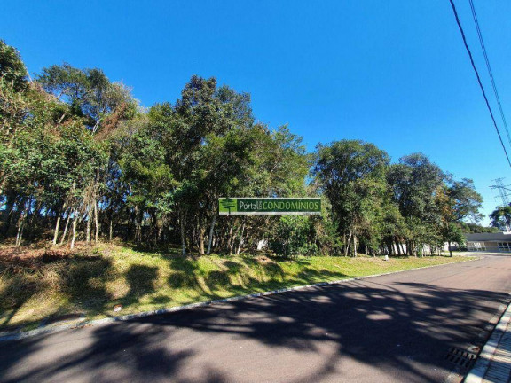 Imagem Terreno à Venda, 2.408 m² em Orleans - Curitiba Imagem Terreno à Venda, 2.408 m² em Orleans - Curitiba