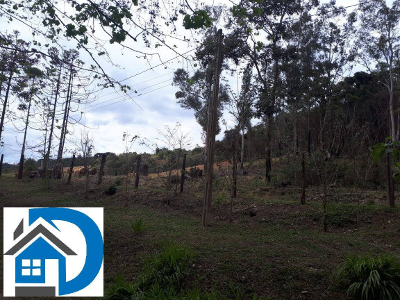 Imagem Chácara com 4 Quartos à Venda, 200 m² em Rural - Itapeva Imagem Chácara com 4 Quartos à Venda, 200 m² em Rural - Itapeva