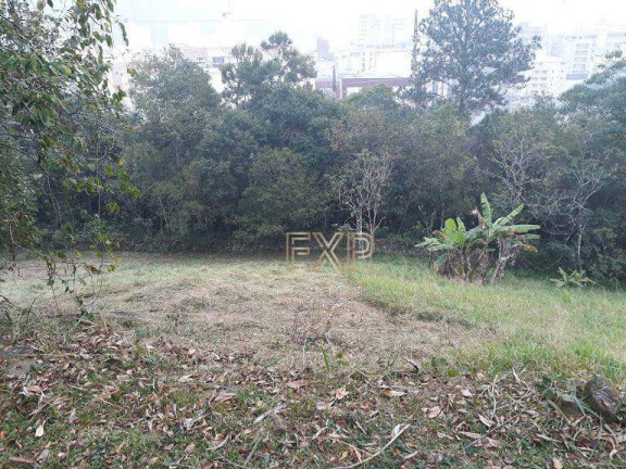 Imagem Terreno à Venda, 44 m² em Córrego Grande - Florianópolis Imagem Terreno à Venda, 44 m² em Córrego Grande - Florianópolis