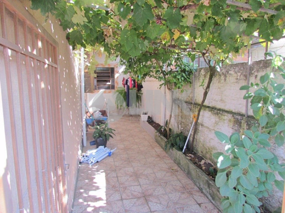 Imagem Casa com 4 Quartos à Venda, 200 m² em Jardim Carvalho - Porto Alegre