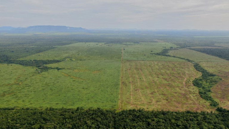 Imagem Imóvel à Venda, em Santana Do Araguaia/pa - Novo Progresso Imagem Imóvel à Venda, em Santana Do Araguaia/pa - Novo Progresso
