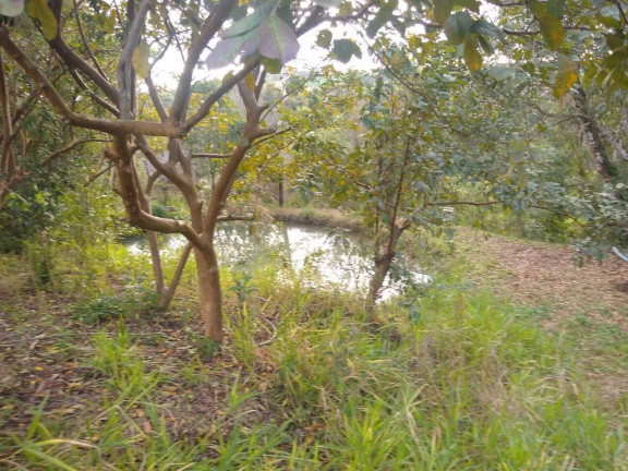 Imagem Terreno à Venda, 10 m² em Jardim Cananéia - Pilar Do Sul Imagem Terreno à Venda, 10 m² em Jardim Cananéia - Pilar Do Sul