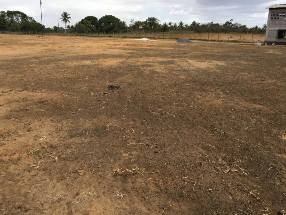 Imagem Galpão para Alugar, 28.000 m² em Areia Branca - Lauro De Freitas Imagem Galpão para Alugar, 28.000 m² em Areia Branca - Lauro De Freitas