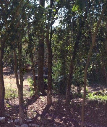 Imagem Terreno à Venda, 3.957 m² em Vila Santo Antônio - Cotia Imagem Terreno à Venda, 3.957 m² em Vila Santo Antônio - Cotia