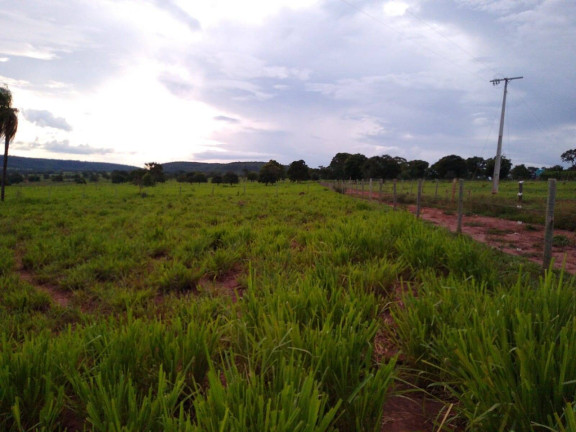 Imagem Fazenda à Venda, 23 m² em Centro - Santa Vitória Imagem Fazenda à Venda, 23 m² em Centro - Santa Vitória