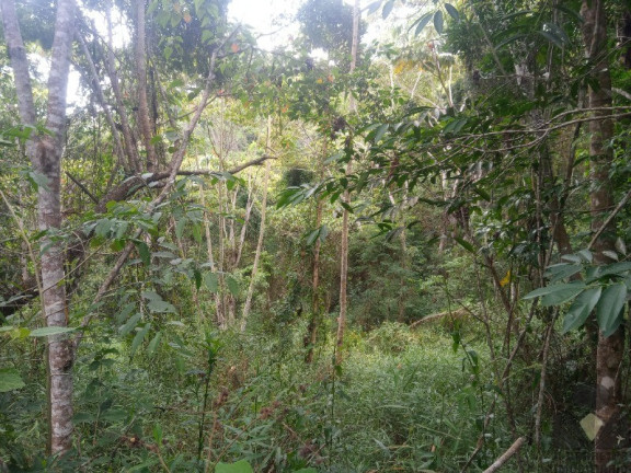 Imagem Imóvel à Venda, 26.800 m² em Condomínio Rural Horizontes Da Serra - Caeté Imagem Imóvel à Venda, 26.800 m² em Condomínio Rural Horizontes Da Serra - Caeté