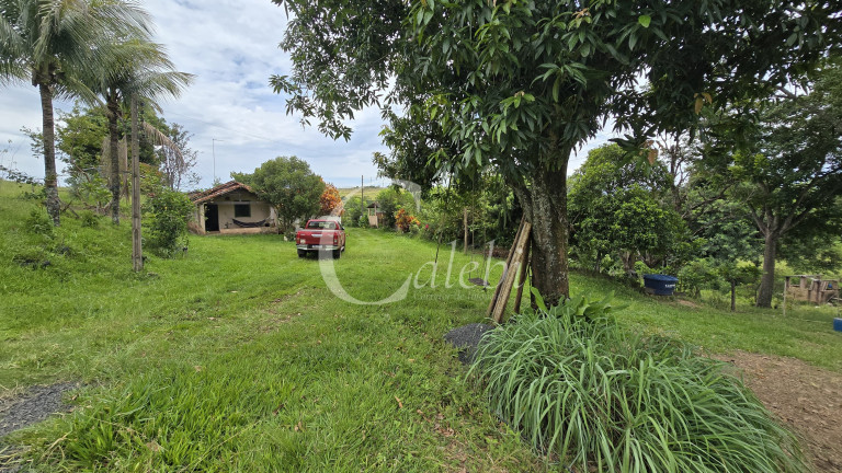 Imagem Chácara com 3 Quartos à Venda, 44.000 m² em Mato Seco - Mogi Guaçu