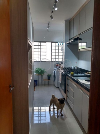 Imagem Apartamento com 3 Quartos à Venda, 70 m² em Jardim Residencial Paraíso - Araraquara Imagem Apartamento com 3 Quartos à Venda, 70 m² em Jardim Residencial Paraíso - Araraquara
