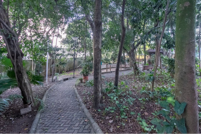 Imagem Apartamento com 3 Quartos à Venda, 86 m² em Vila Mascote - São Paulo Imagem Apartamento com 3 Quartos à Venda, 86 m² em Vila Mascote - São Paulo