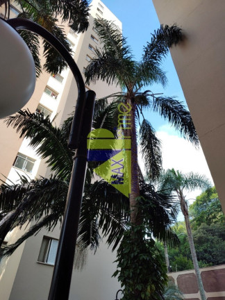 Imagem Apartamento com 3 Quartos à Venda, 58 m² em Jardim Santa Terezinha (zona Leste) - São Paulo Imagem Apartamento com 3 Quartos à Venda, 58 m² em Jardim Santa Terezinha (zona Leste) - São Paulo